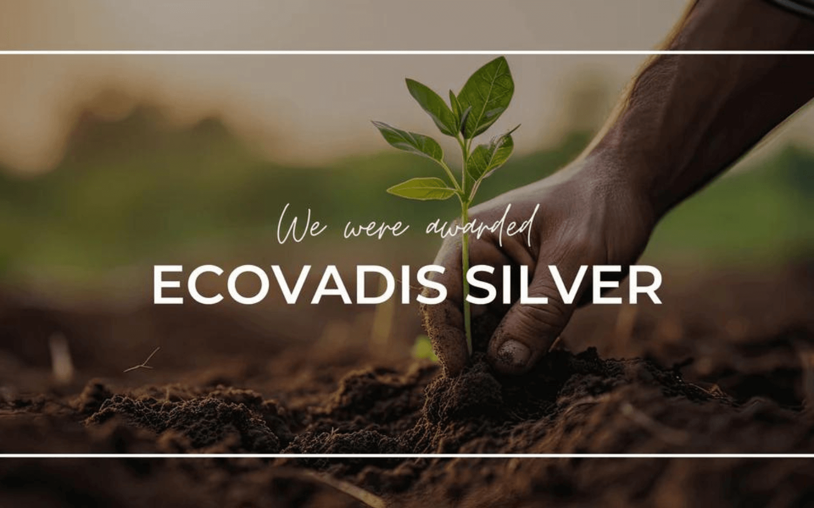 TROIKA RECEIVES ECOVADIS SILVER MEDAL FOR SUSTAINABILITY