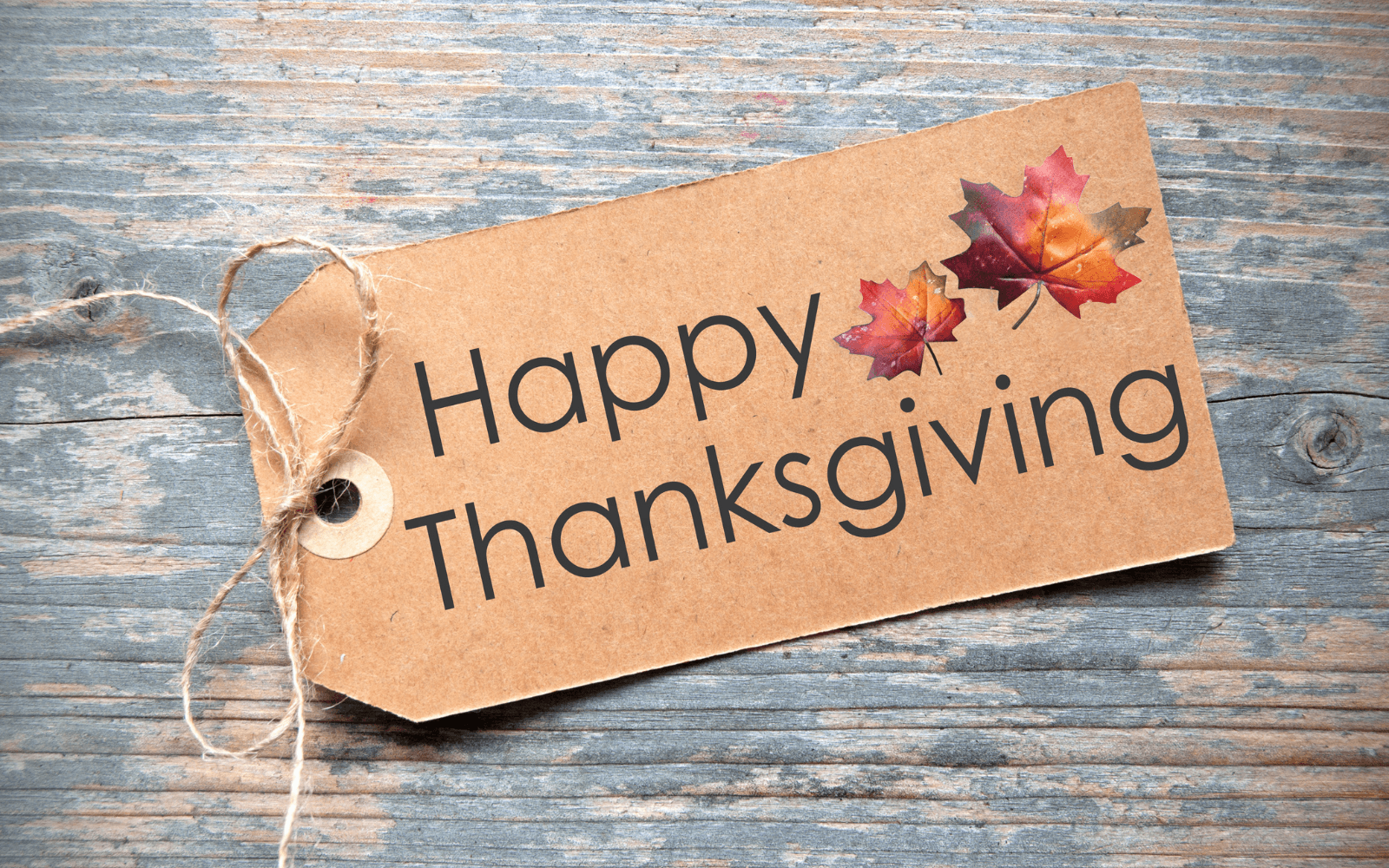 THANKSGIVING ACTIVITIES