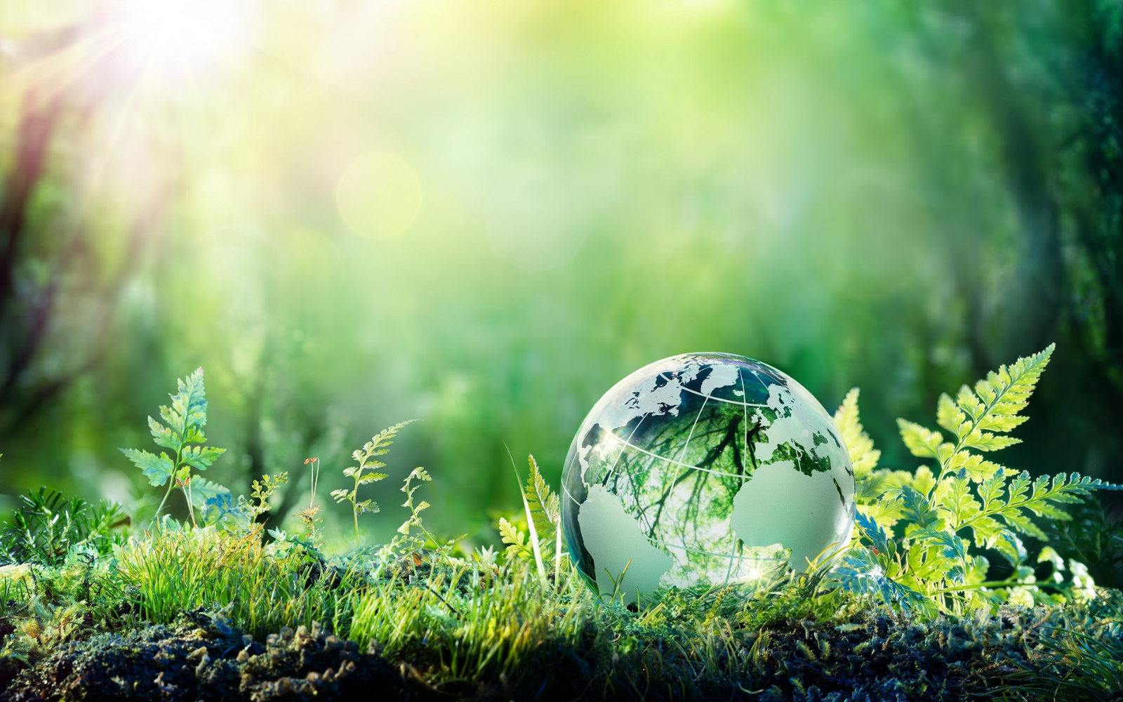 DO YOU CARE ABOUT SUSTAINABILITY? TROIKA DOES …