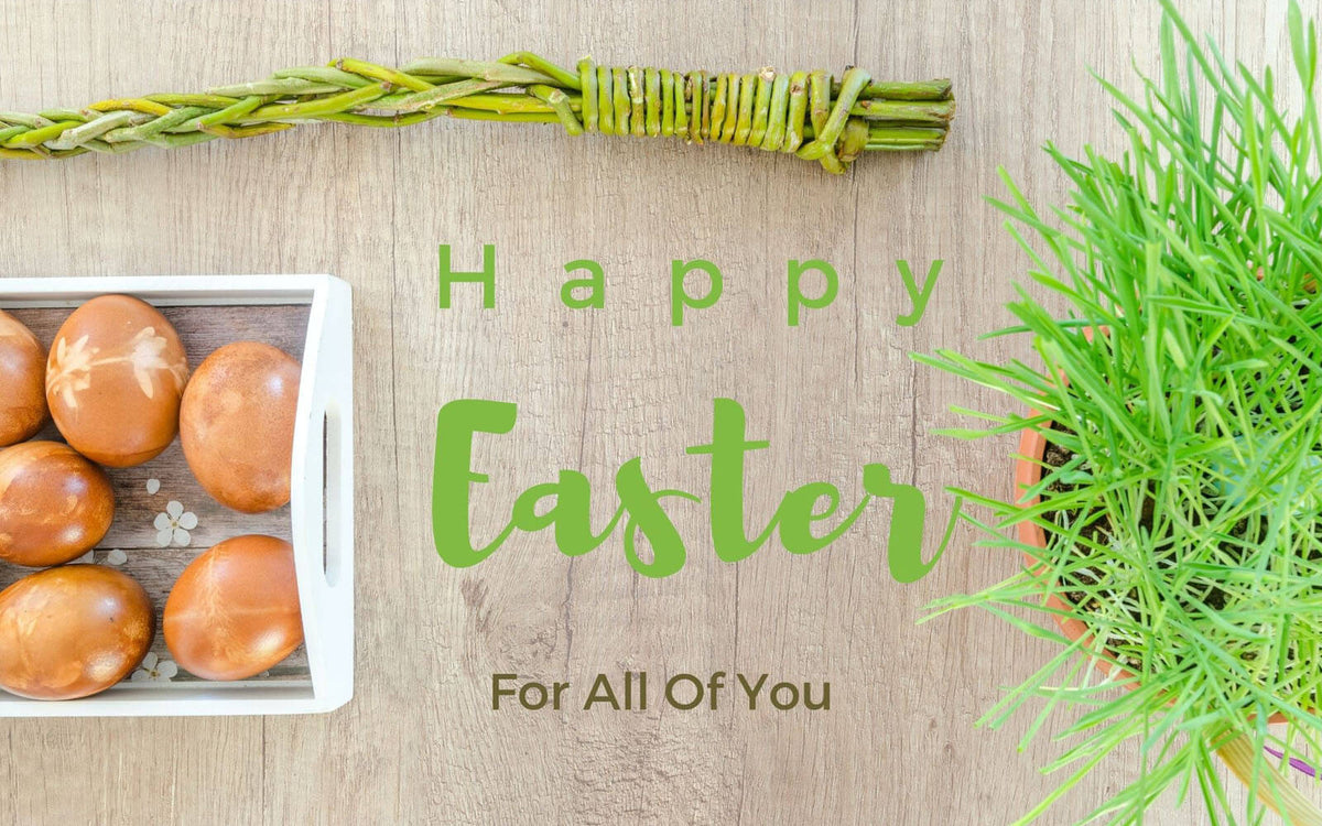 EASTER EGG HUNT WITH A DIFFERENCE