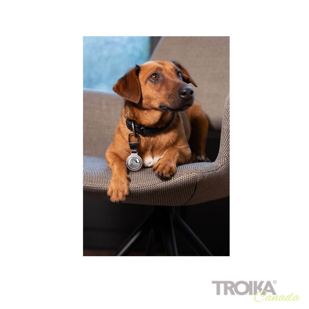 TROIKA Keychain "AIRTAG HOLDER" - Silver